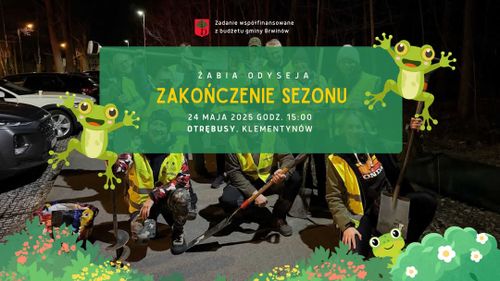 Zakończenie akcji Żabia Odyseja 🐸🌿